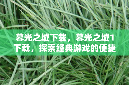 暮光之城下载，暮光之城1下载，探索经典游戏的便捷途径