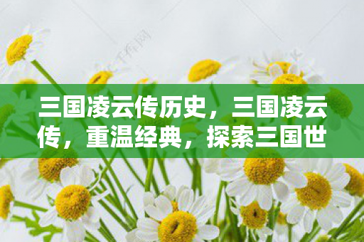 三国凌云传历史，三国凌云传，重温经典，探索三国世界的无限可能