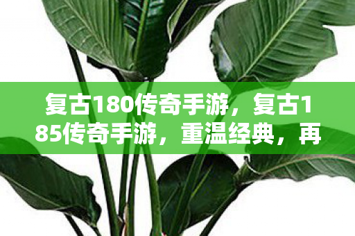 复古180传奇手游，复古185传奇手游，重温经典，再续传奇