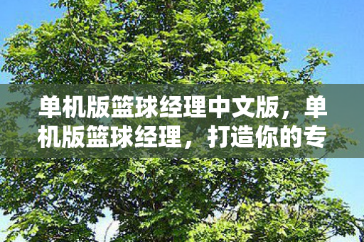 单机版篮球经理中文版，单机版篮球经理，打造你的专属篮球帝国