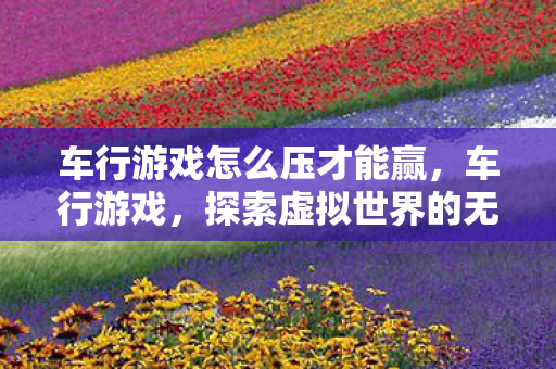 车行游戏怎么压才能赢,车行游戏,探索虚拟世界的无限可能 车行游戏怎么压才能赢,车行游戏,探索虚拟世界的无限可能