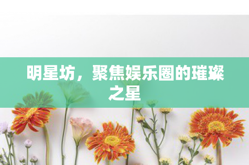 明星坊，聚焦娱乐圈的璀璨之星