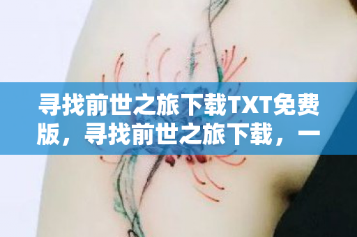 寻找前世之旅下载TXT免费版，寻找前世之旅下载，一场穿越时空的奇幻之旅