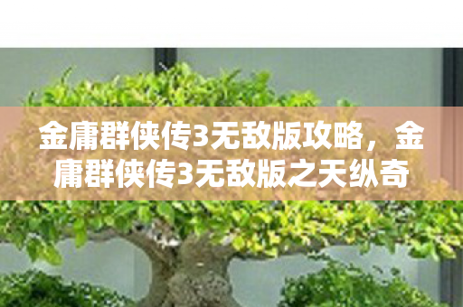 金庸群侠传3无敌版攻略，金庸群侠传3无敌版之天纵奇才