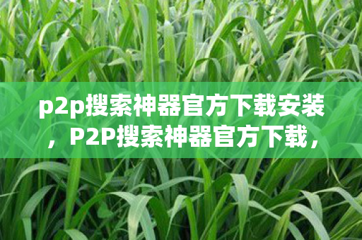 p2p搜索神器官方下载安装，P2P搜索神器官方下载，解锁无限可能的网络探索工具