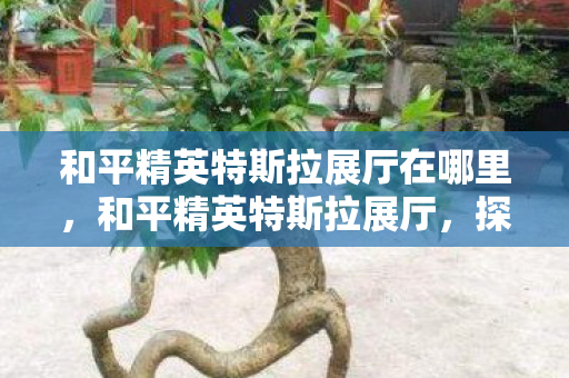 和平精英特斯拉展厅在哪里，和平精英特斯拉展厅，探索未来科技的奇妙之旅