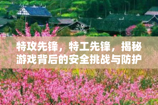 特攻先锋，特工先锋，揭秘游戏背后的安全挑战与防护措施