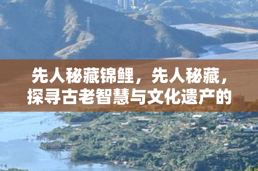 先人秘藏锦鲤，先人秘藏，探寻古老智慧与文化遗产的奥秘