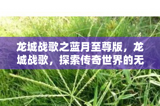 龙城战歌之蓝月至尊版，龙城战歌，探索传奇世界的无尽奥秘