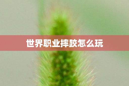 世界职业摔跤怎么玩