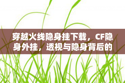 穿越火线隐身挂下载，CF隐身外挂，透视与隐身背后的技术揭秘
