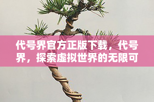代号界官方正版下载，代号界，探索虚拟世界的无限可能
