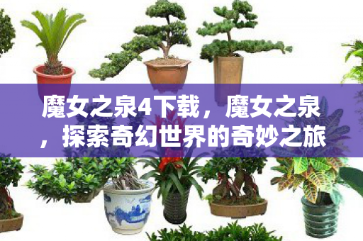 魔女之泉4下载，魔女之泉，探索奇幻世界的奇妙之旅