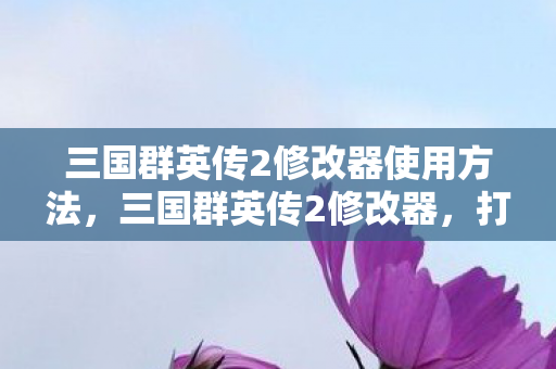 三国群英传2修改器使用方法，三国群英传2修改器，打造个性化游戏体验
