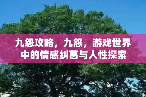 九怨攻略，九怨，游戏世界中的情感纠葛与人性探索