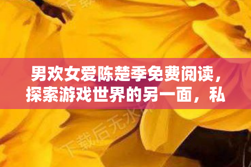 男欢女爱陈楚季免费阅读，探索游戏世界的另一面，私服与玩家的独特互动