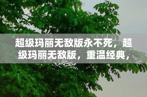 超级玛丽无敌版永不死，超级玛丽无敌版，重温经典，畅享无限乐趣