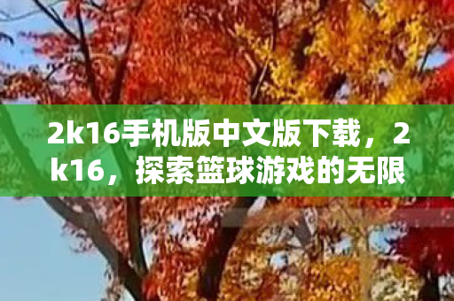 2k16手机版中文版下载，2k16，探索篮球游戏的无限可能