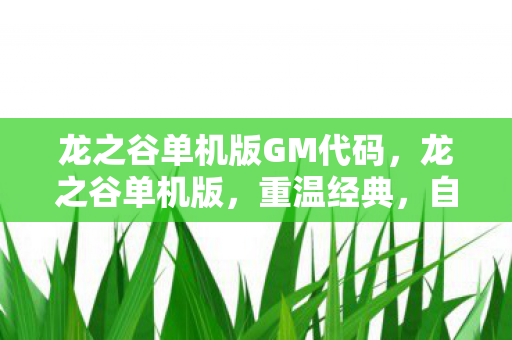 龙之谷单机版GM代码，龙之谷单机版，重温经典，自由探索的冒险之旅