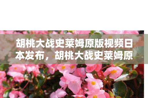 胡桃大战史莱姆原版视频日本发布，胡桃大战史莱姆原版，一场跨越次元的冒险