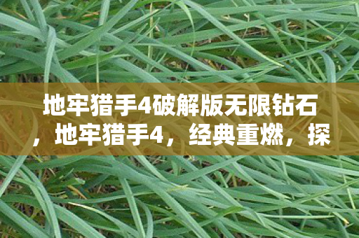 地牢猎手4破解版无限钻石，地牢猎手4，经典重燃，探索未知的深渊