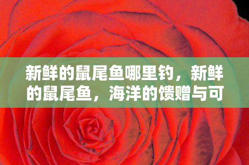 新鲜的鼠尾鱼哪里钓，新鲜的鼠尾鱼，海洋的馈赠与可持续利用