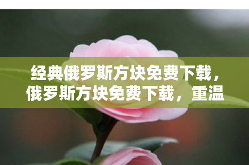 经典俄罗斯方块免费下载，俄罗斯方块免费下载，重温经典，随时随地畅享游戏乐趣