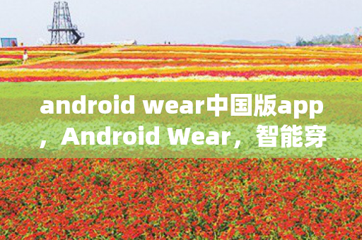 android wear中国版app，Android Wear，智能穿戴设备的新篇章
