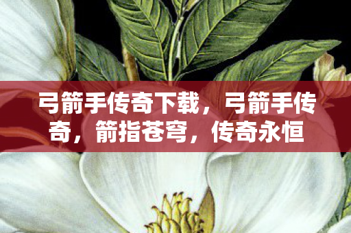 弓箭手传奇下载,弓箭手传奇,箭指苍穹,传奇永恒 弓箭手传奇下载,弓箭手传奇,箭指苍穹,传奇永恒