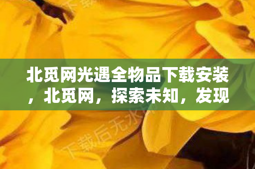 北觅网光遇全物品下载安装，北觅网，探索未知，发现新奇