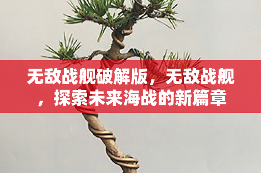 无敌战舰破解版，无敌战舰，探索未来海战的新篇章