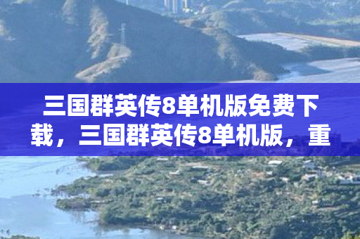 三国群英传8单机版免费下载，三国群英传8单机版，重温经典，领略策略游戏的魅力