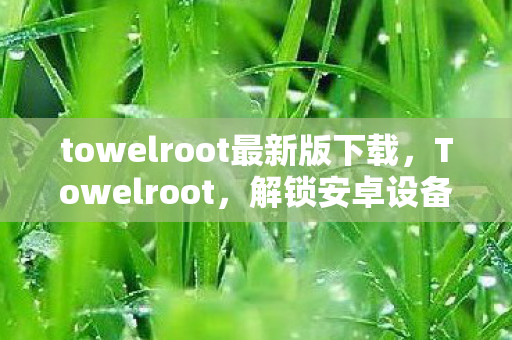 towelroot最新版下载，Towelroot，解锁安卓设备的无限可能