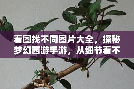 看图找不同图片大全,探秘梦幻西游手游,从细节看不同,体验独特乐趣 看图找不同图片大全,探秘梦幻西游手游,从细节看不同,体验独特乐趣