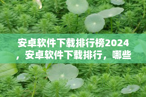 安卓软件下载排行榜2024，安卓软件下载排行，哪些应用最受用户欢迎？