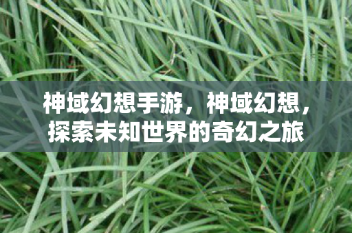 神域幻想手游，神域幻想，探索未知世界的奇幻之旅