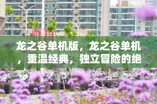 龙之谷单机版，龙之谷单机，重温经典，独立冒险的绝佳选择