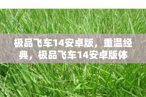 极品飞车14安卓版，重温经典，极品飞车14安卓版体验