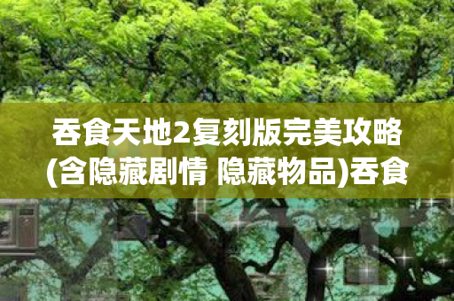 吞食天地2复刻版完美攻略(含隐藏剧情 隐藏物品)吞食天地2:复刻版—重温经典,再续前缘 吞食天地2复刻版完美攻略(含隐藏剧情 隐藏物品)吞食天地2:复刻版—重温经典,再续前缘