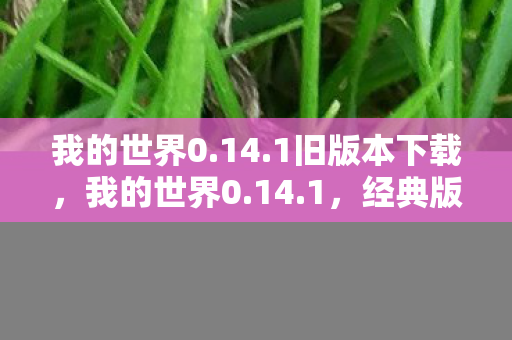 我的世界0.14.1旧版本下载，我的世界0.14.1，经典版本的怀旧之旅