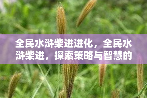 全民水浒柴进进化，全民水浒柴进，探索策略与智慧的深度结合