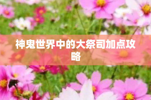 神鬼世界中的大祭司加点攻略