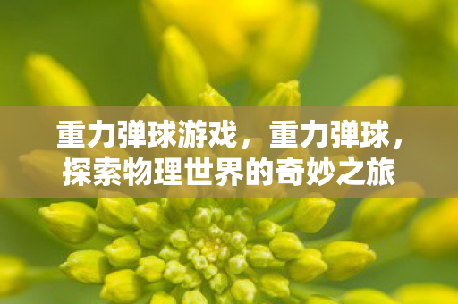 重力弹球游戏，重力弹球，探索物理世界的奇妙之旅