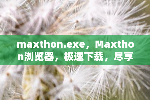 maxthon.exe，Maxthon浏览器，极速下载，尽享流畅体验