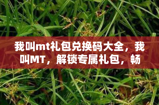 我叫mt礼包兑换码大全，我叫MT，解锁专属礼包，畅游奇幻世界的密钥