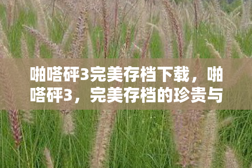 啪嗒砰3完美存档下载，啪嗒砰3，完美存档的珍贵与意义