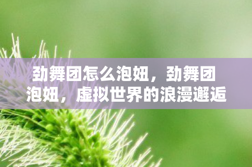 劲舞团怎么泡妞，劲舞团 泡妞，虚拟世界的浪漫邂逅