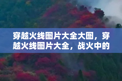 穿越火线图片大全大图，穿越火线图片大全，战火中的经典瞬间