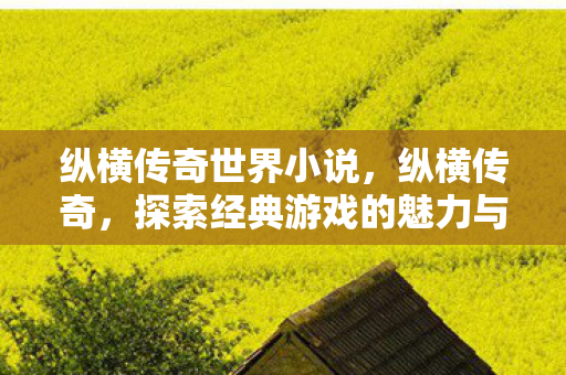 纵横传奇世界小说，纵横传奇，探索经典游戏的魅力与传承