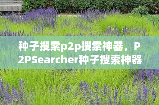 种子搜索p2p搜索神器，P2PSearcher种子搜索神器，探索无限资源的奇妙之旅